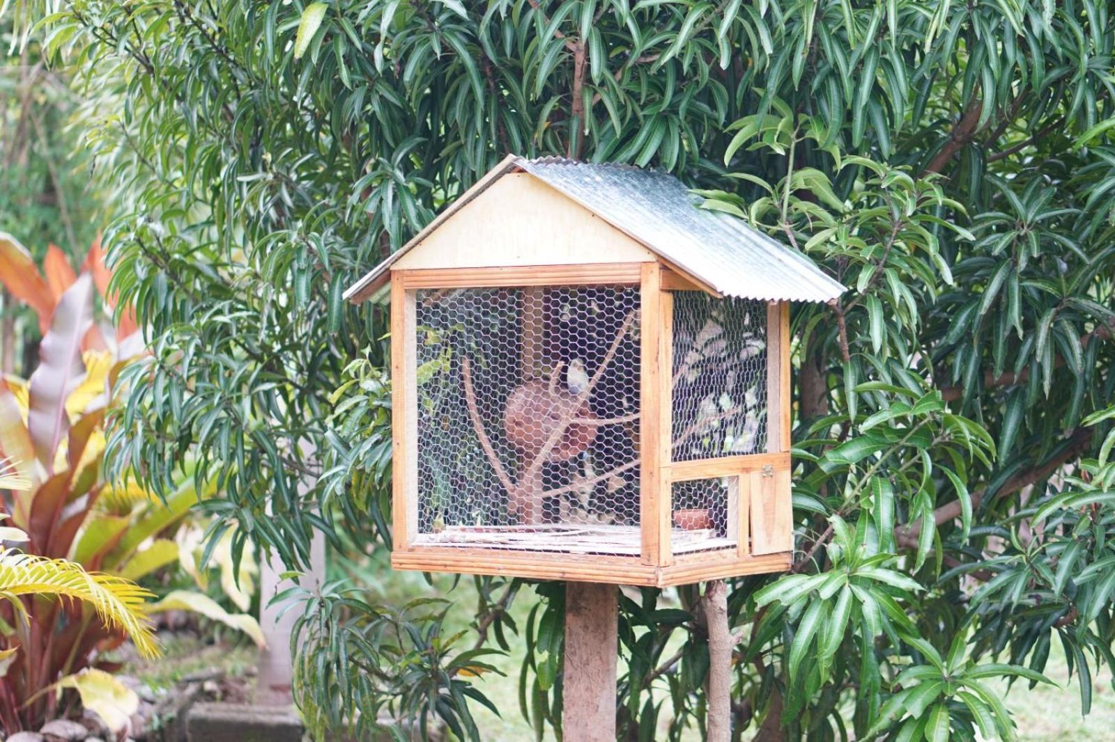 Nature World Udawalawe Zewnętrze zdjęcie