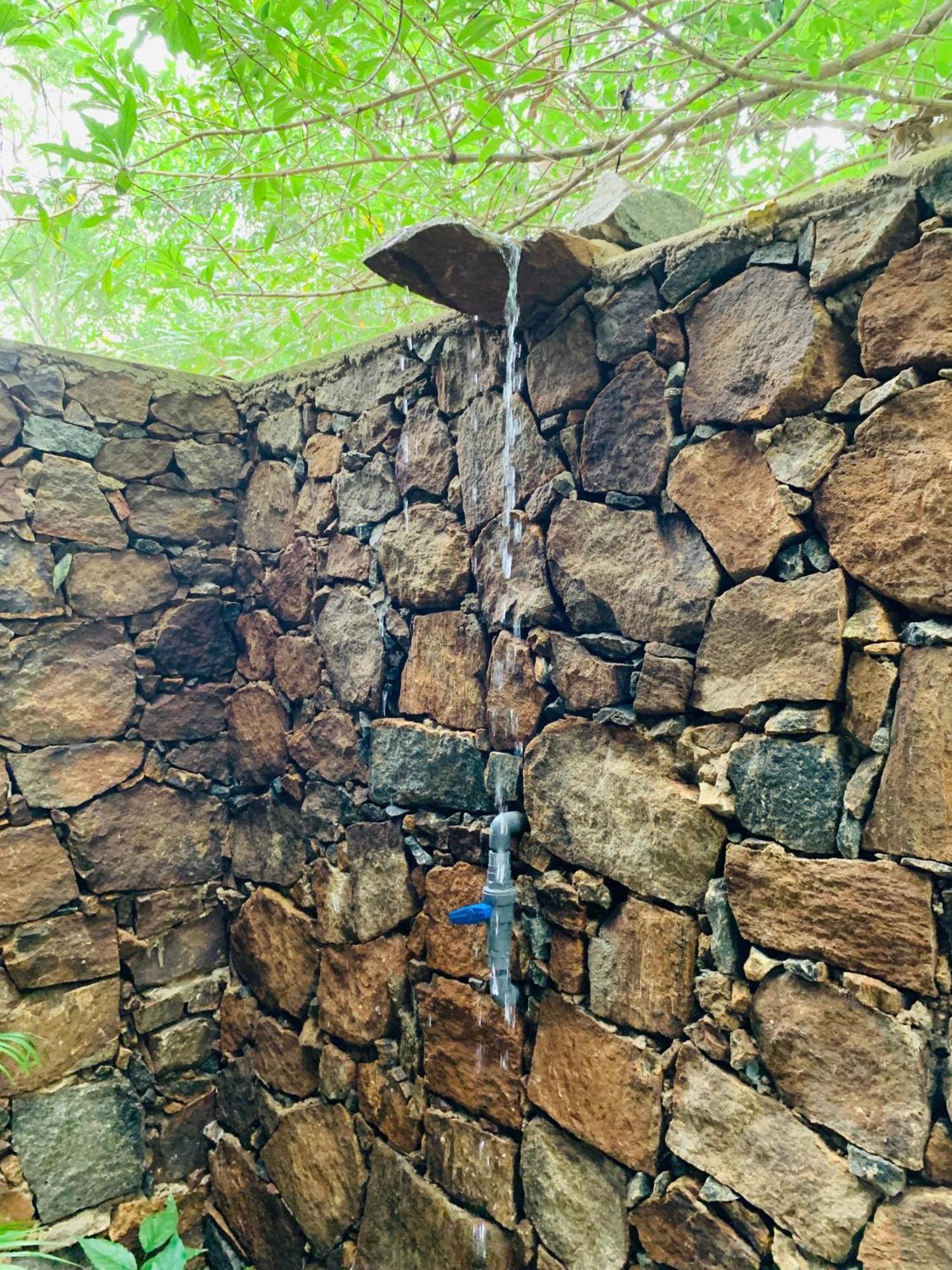 Nature World Udawalawe Zewnętrze zdjęcie